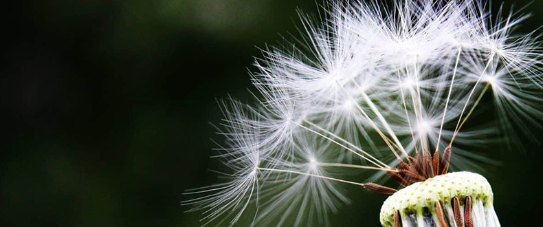 企業(yè)價值觀